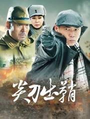 电视剧尖刀出鞘在线观看,揭秘抗战英雄的传奇征程 第3张 电视剧尖刀出鞘在线观看,揭秘抗战英雄的传奇征程 第3张